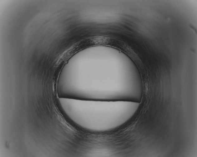X0000103460733200809121057