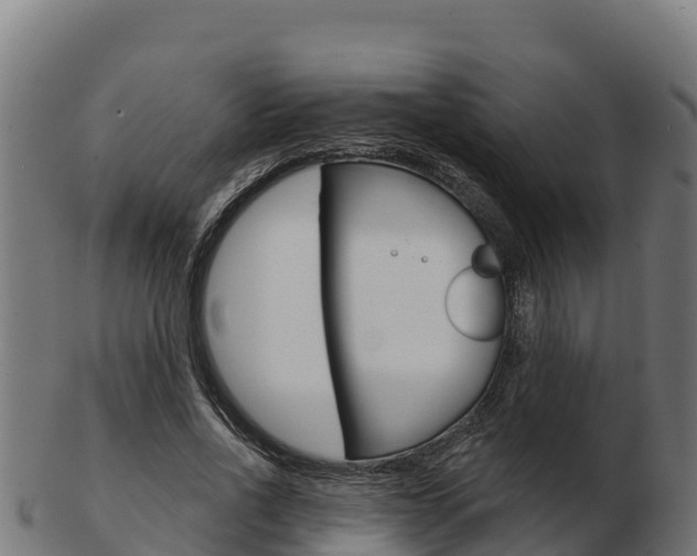 X0000103460734200809121057