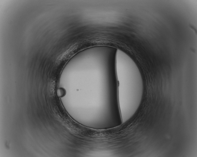 X0000103460735200809121057