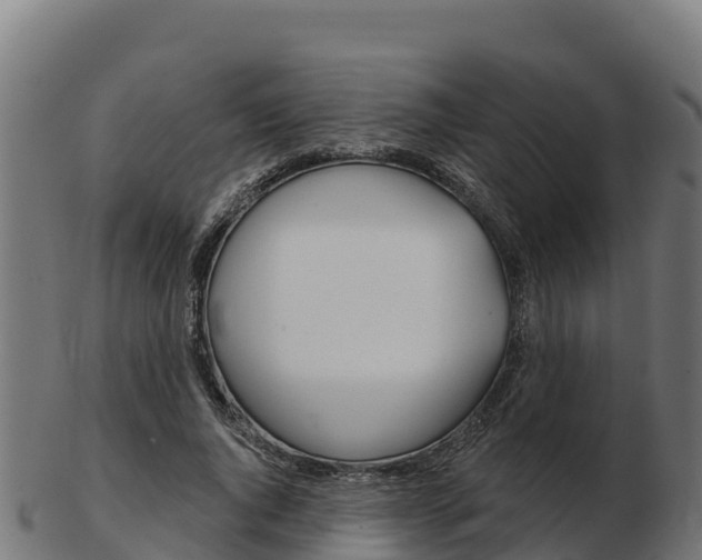 X0000103460736200809121057