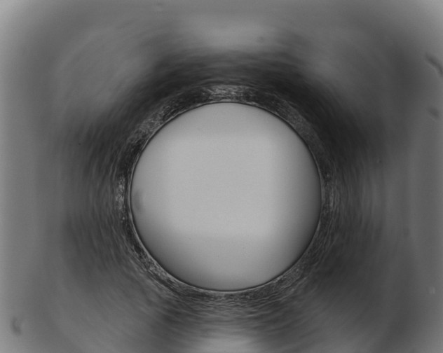 X0000103460737200809121057