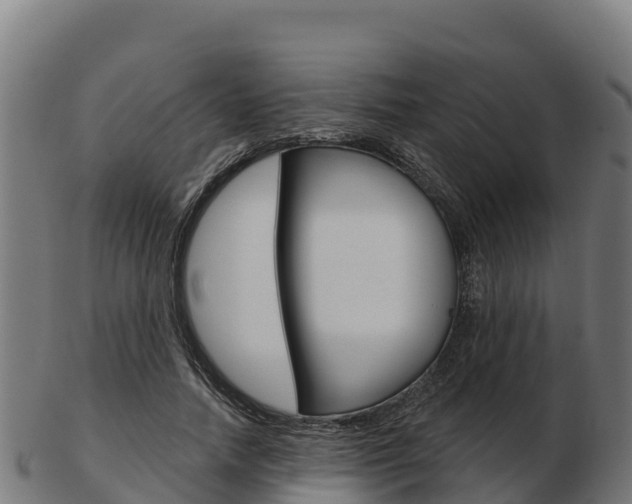 X0000103460738200809121057