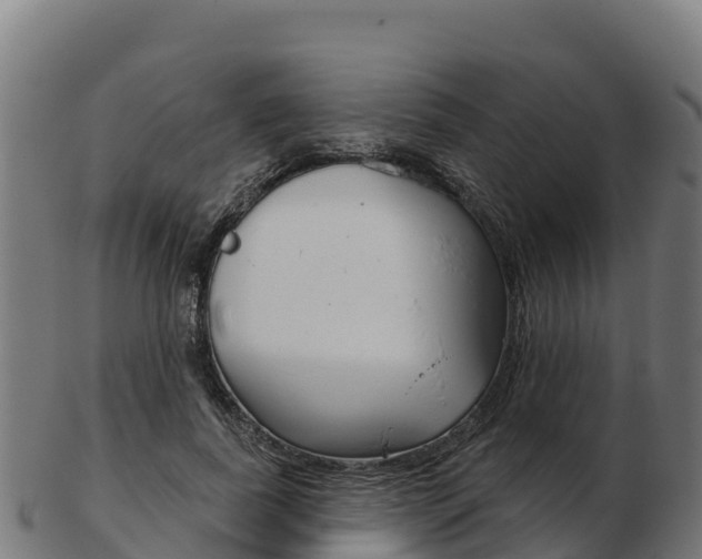 X0000103460739200809121057