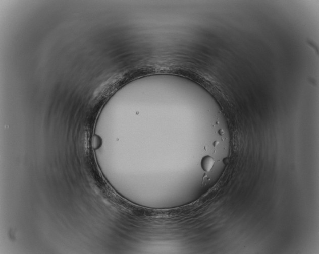 X0000103460740200809121057