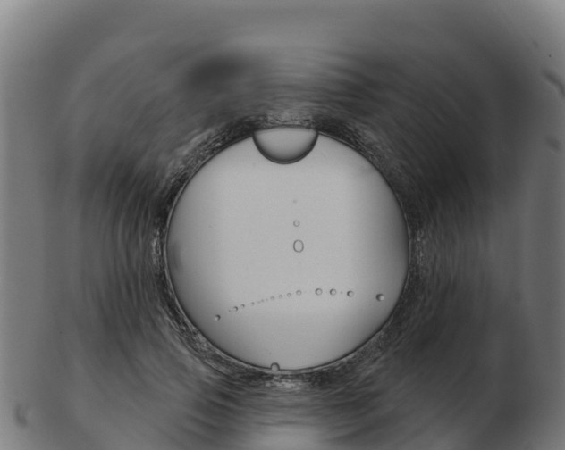 X0000103460741200809121057