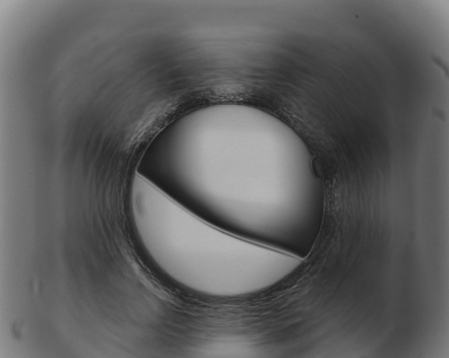 X0000103460742200809121057