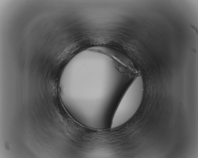 X0000103460743200809121057