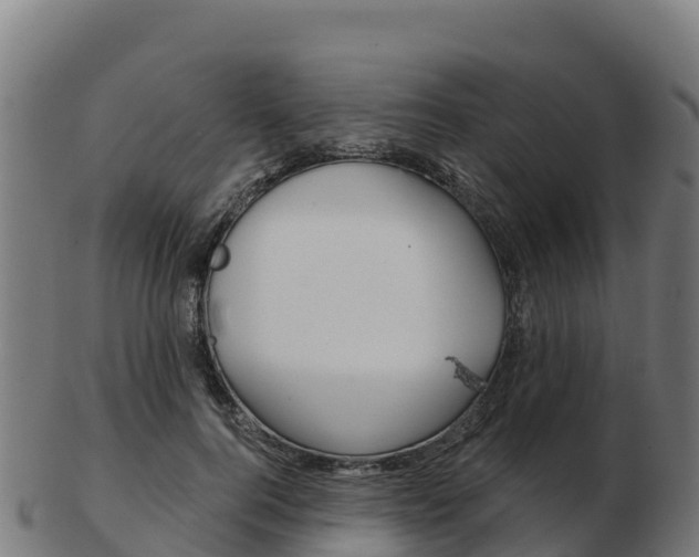 X0000103460744200809121057