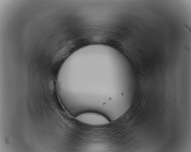 X0000103460746200809121057