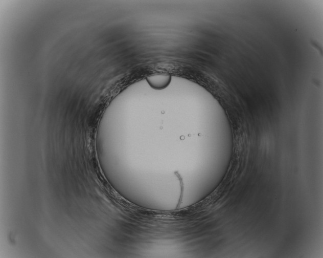 X0000103460749200809121057
