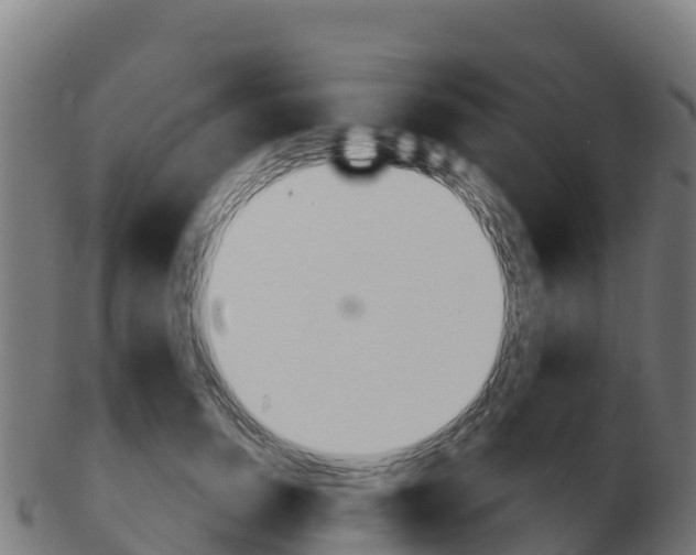 X0000103460750200809121057
