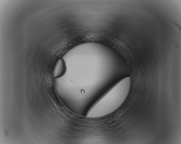 X0000103460751200809121057