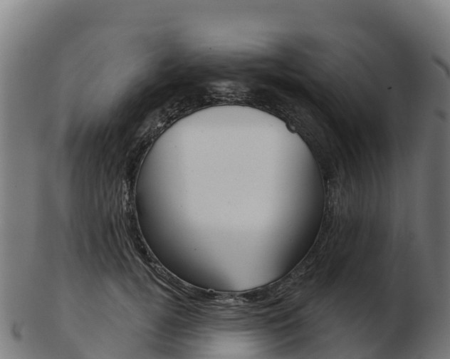 X0000103460752200809121057