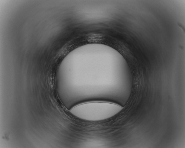 X0000103460755200809121057