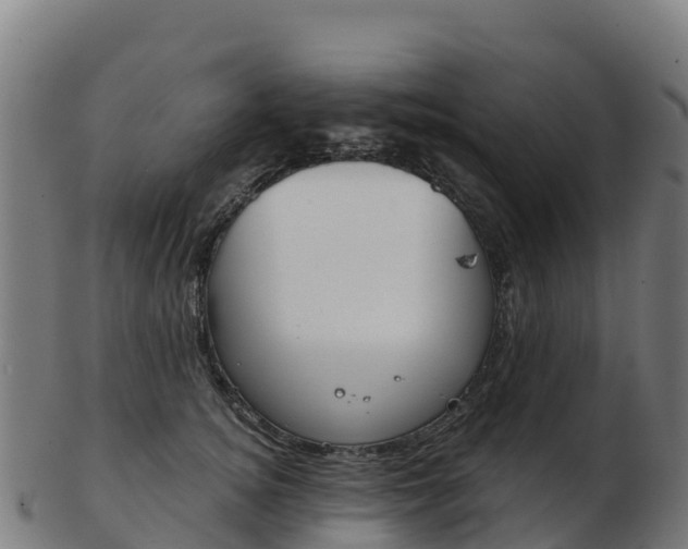 X0000103460756200809121057