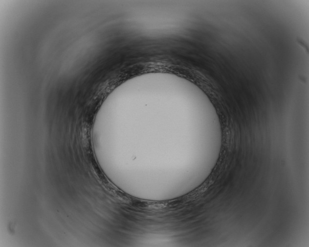 X0000103460757200809121057
