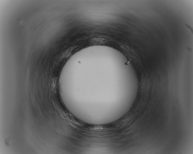 X0000103460759200809121057