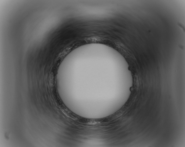 X0000103460760200809121057