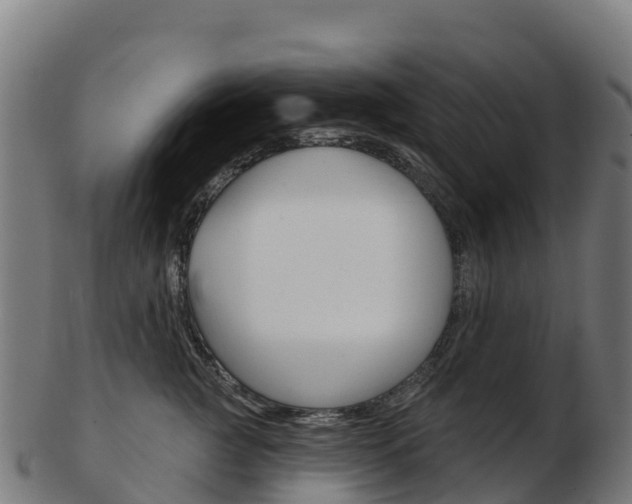 X0000103460761200809121057