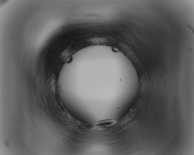 X0000103460762200809121057