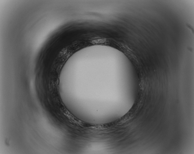 X0000103460763200809121057
