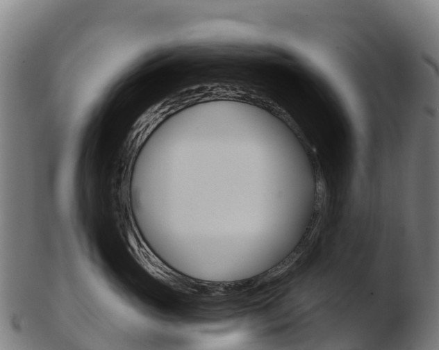 X0000103460765200809121057
