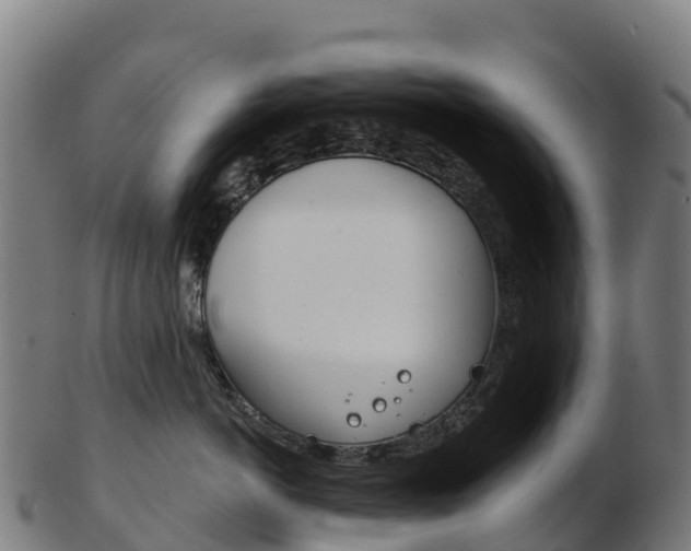 X0000103460766200809121057
