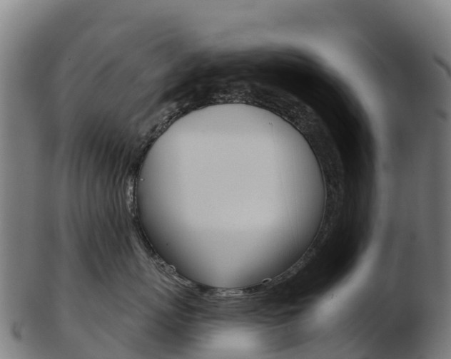 X0000103460767200809121057