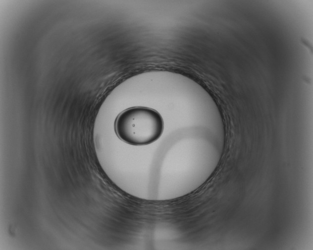 X0000103460768200809121057