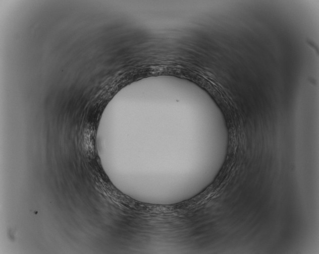 X0000103460770200809121056