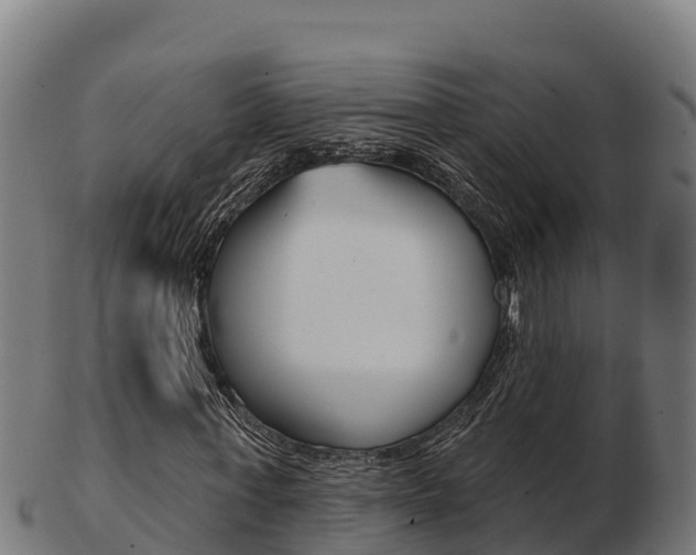 X0000103460771200809121056