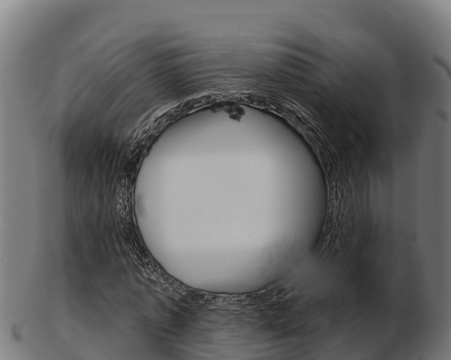 X0000103460773200809121056