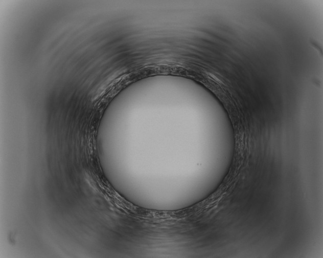 X0000103460774200809121056