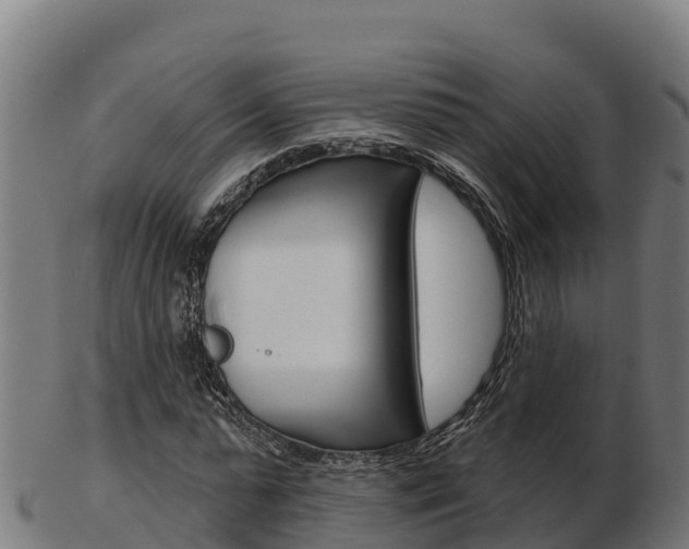 X0000103460775200809121056