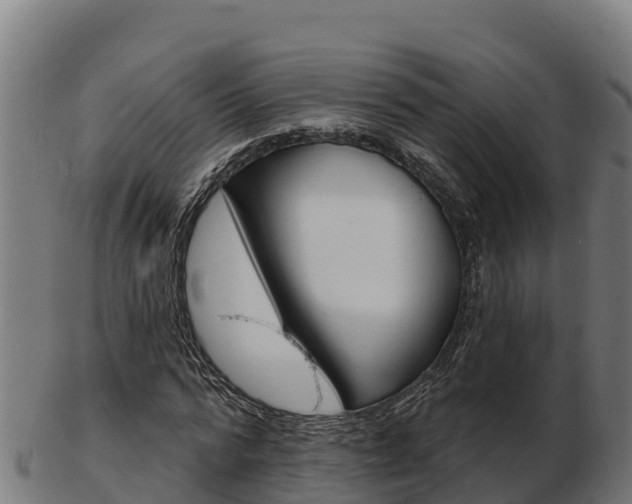 X0000103460776200809121056