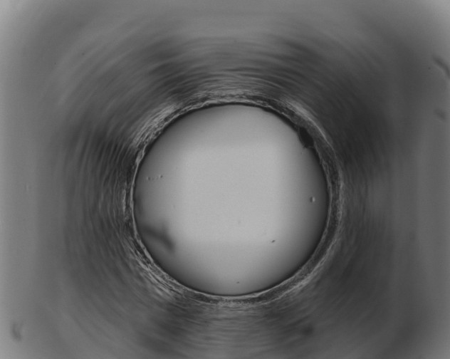 X0000103460777200809121056