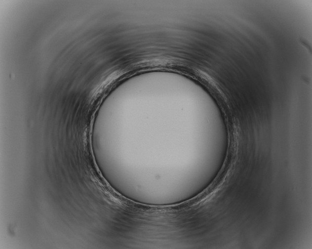 X0000103460778200809121056