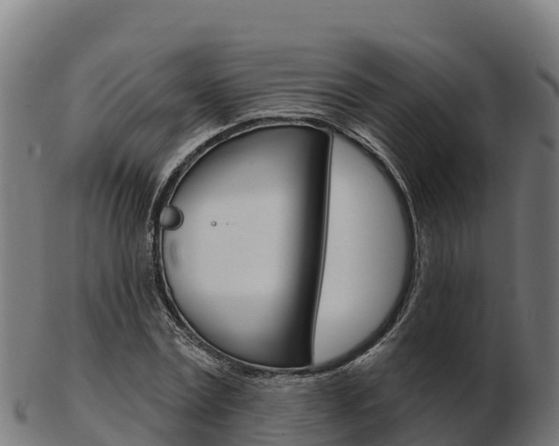 X0000103460779200809121056