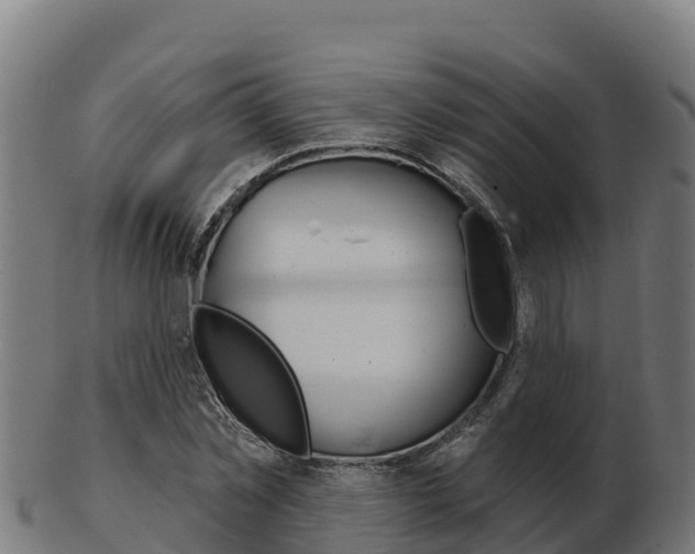 X0000103460781200809121056