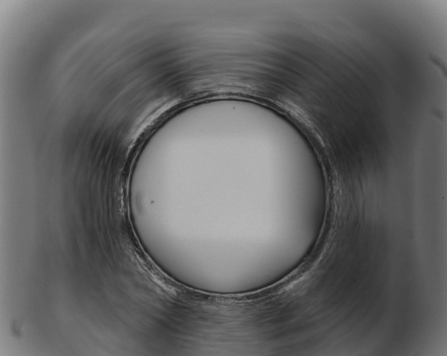 X0000103460782200809121056