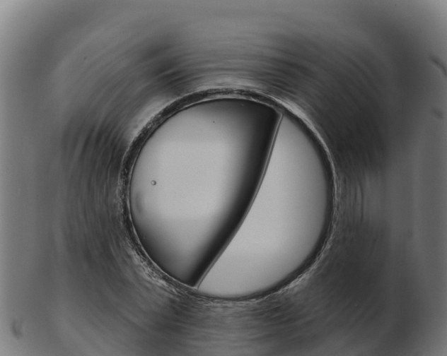 X0000103460783200809121056