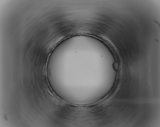 X0000103460785200809121056
