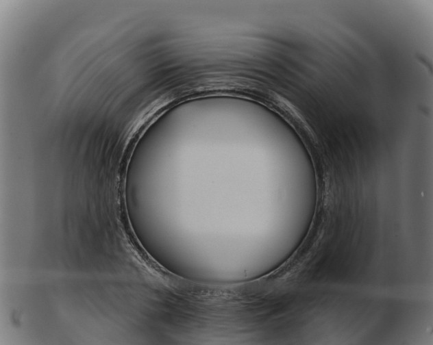 X0000103460786200809121056