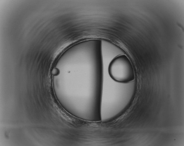 X0000103460787200809121056