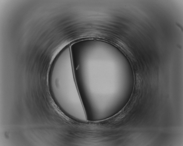 X0000103460788200809121056