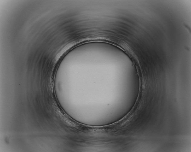 X0000103460789200809121056