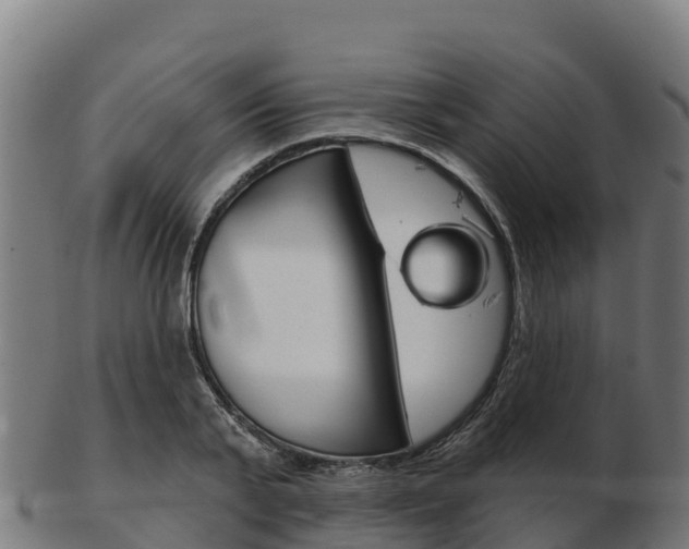 X0000103460791200809121056