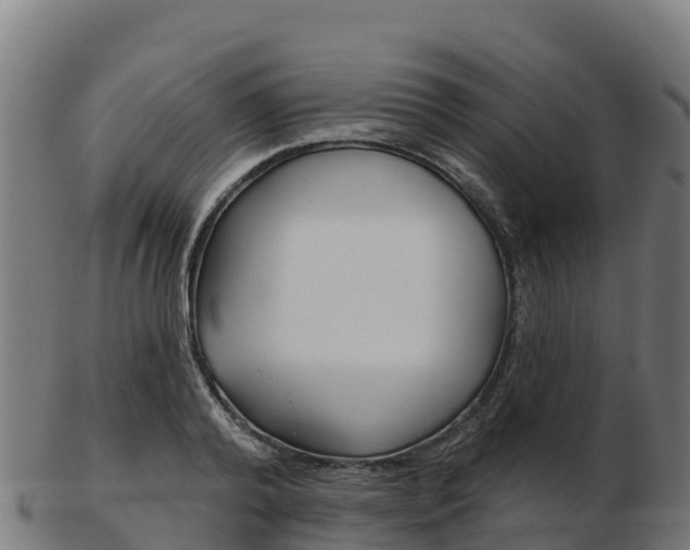 X0000103460792200809121056
