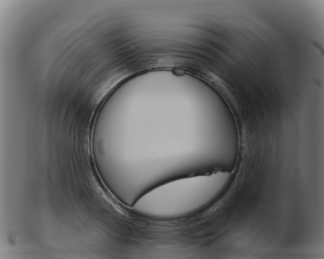 X0000103460794200809121056