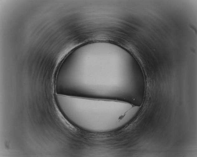 X0000103460795200809121056